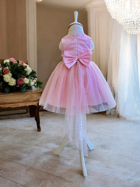 Pink Girl's party dress